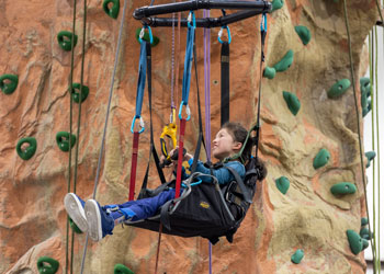 Adaptive Climbing Wall