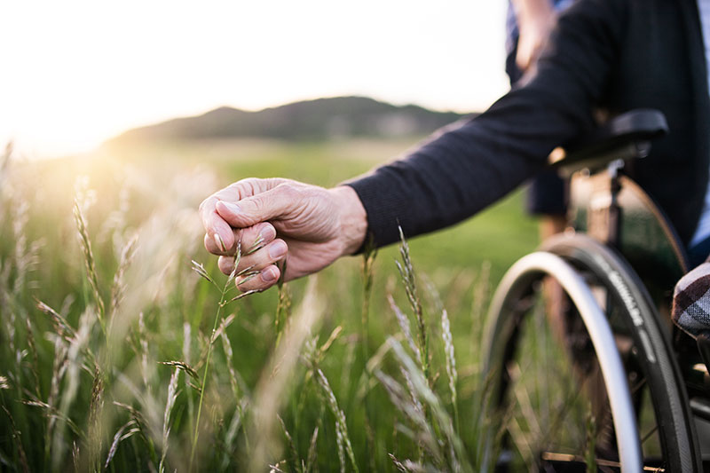 Man in wheelchair feels the grass at sunset outdoors in a beautiful meadow