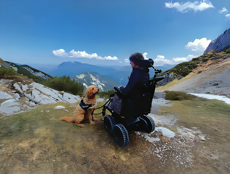 A woman sits in her iBOT while looking out over a beautiful waterfall. Her dog is by her side.