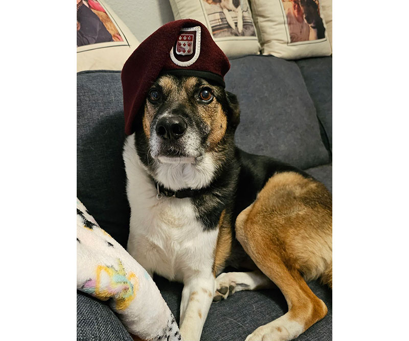 Service dog Neo is sporting a stylish beret as he lounges on the couch.