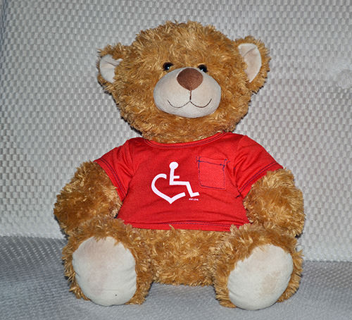 Teddy Bear with wheelchair love shirt on.