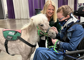 Miniature Therapy Horses