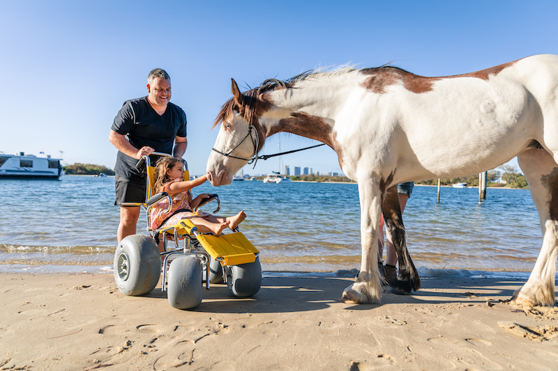 A young girl in a Wheeleez beach wheelchair is petting a horse on the beach. Her father is smiling behind her.